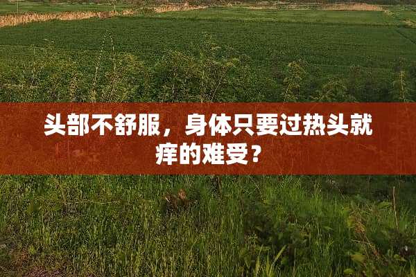 头部不舒服，身体只要过热头就痒的难受？