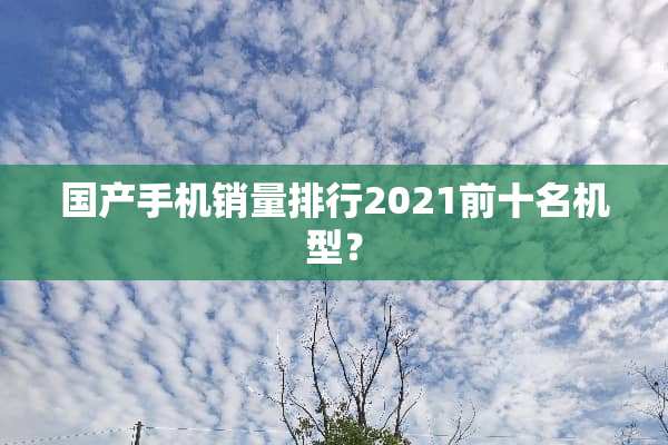 国产手机销量排行2021前十名机型？