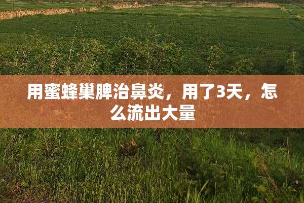 用蜜蜂巢脾治鼻炎，用了3天，怎么流出大量