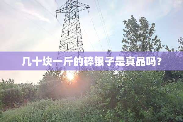 几十块一斤的碎银子是真品吗？