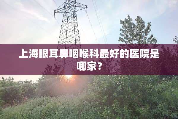 上海眼耳鼻咽喉科最好的医院是哪家？