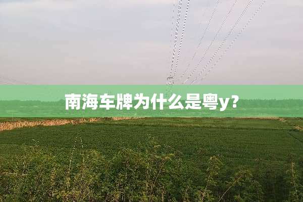南海车牌为什么是粤y？