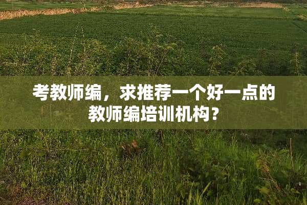 考教师编，求推荐一个好一点的教师编培训机构？
