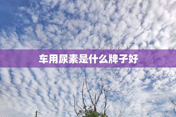 车用尿素是什么牌子好