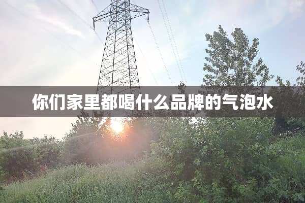 你们家里都喝什么品牌的气泡水