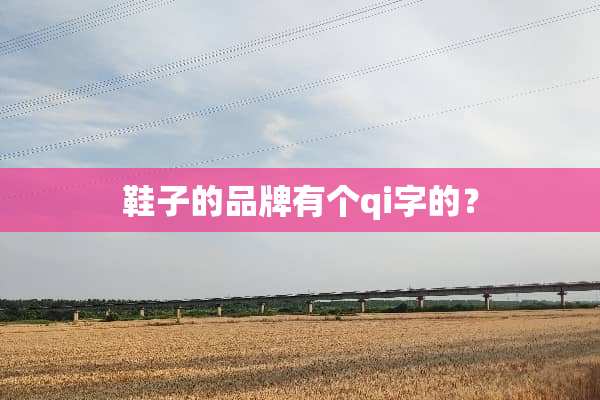 鞋子的品牌有个qi字的？