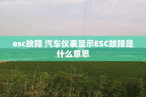 esc故障 汽车仪表显示ESC故障是什么意思
