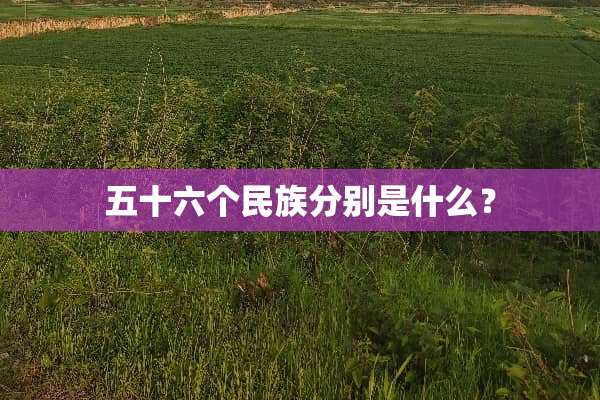 五十六个民族分别是什么？