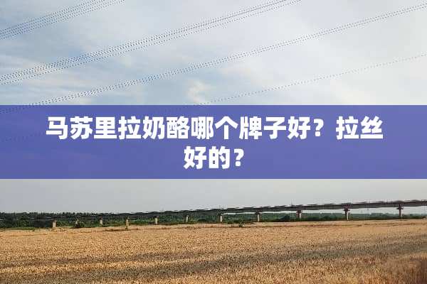 马苏里拉奶酪哪个牌子好？拉丝好的？