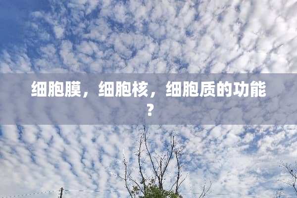 细胞膜，细胞核，细胞质的功能？