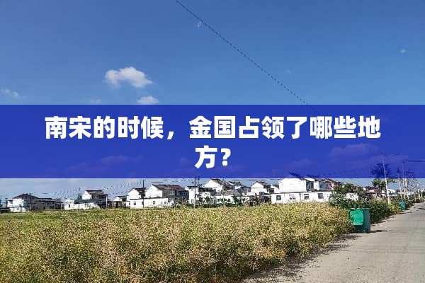 南宋的时候，金国占领了哪些地方？