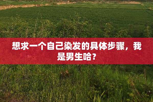 想求一个自己染发的具体步骤，我是男生哈？