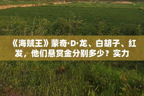 《海贼王》蒙奇·D·龙、白胡子、红发，他们悬赏金分别多少？实力排行是怎样？