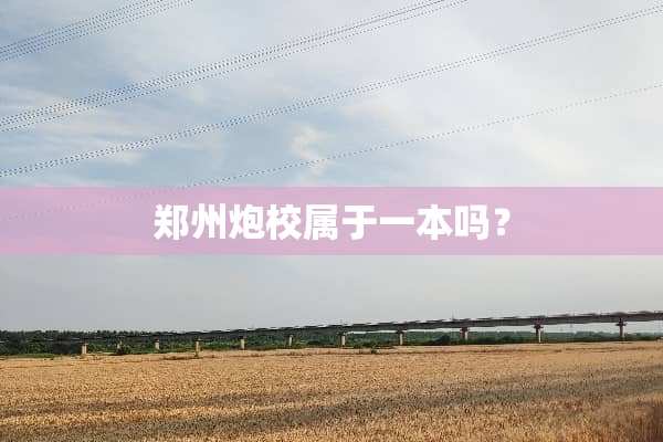 郑州*校属于一本吗？