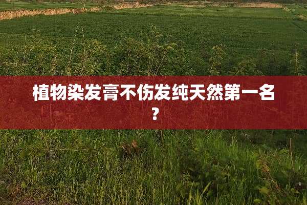 植物染发膏不伤发纯天然第一名？