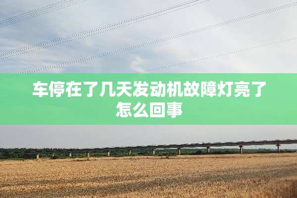 车停在了几天发动机故障灯亮了怎么回事