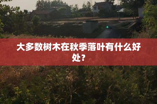 大多数树木在秋季落叶有什么好处？