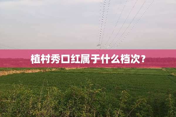 植村秀口红属于什么档次？