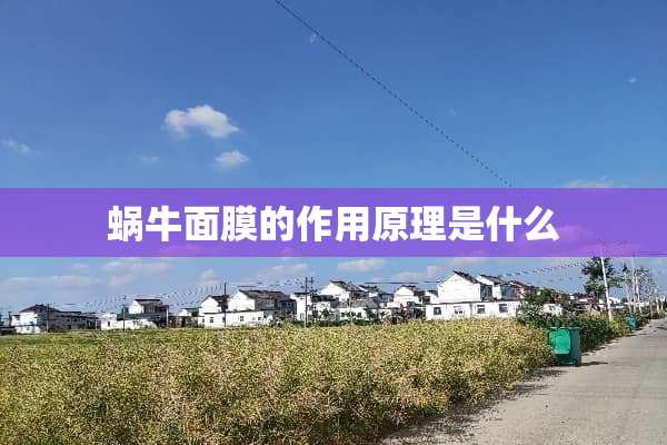 蜗牛面膜的作用原理是什么