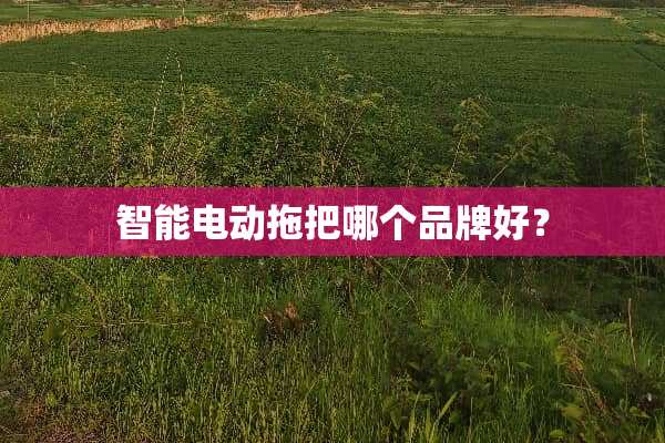 智能电动拖把哪个品牌好？
