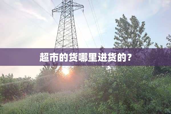 超市的货哪里进货的？