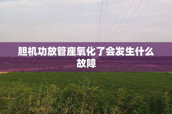 胆机功放管座**了会发生什么故障