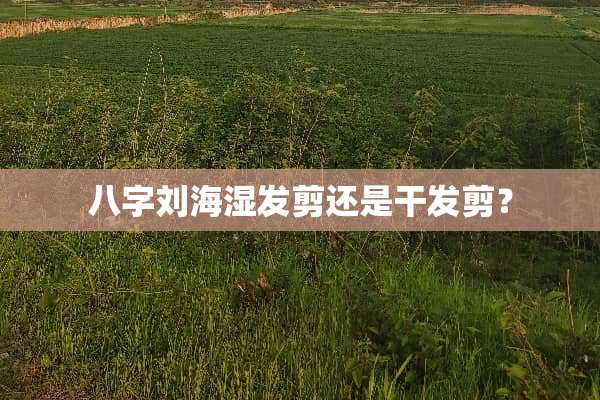 八字刘海湿发剪还是干发剪？