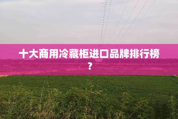 十大商用冷藏柜进口品牌排行榜？