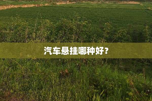 汽车悬挂哪种好？