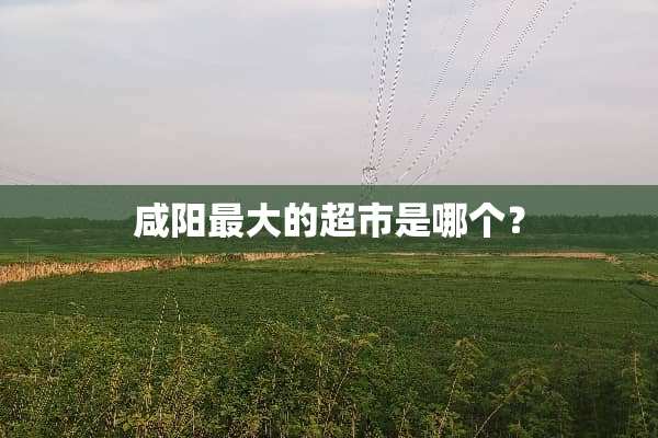 咸阳最大的超市是哪个？