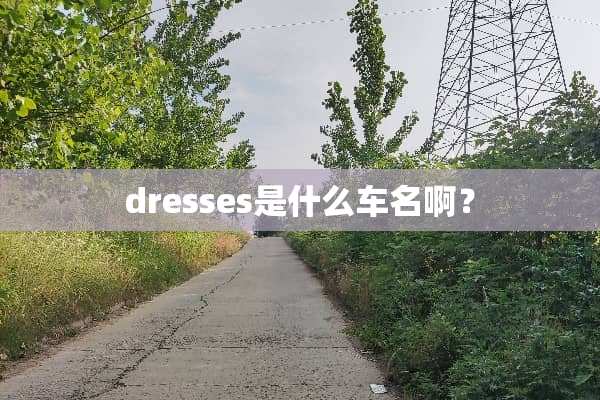 dresses是什么车名啊？