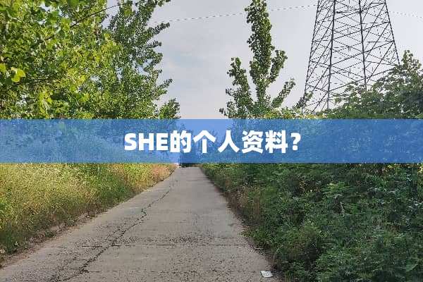 SHE的个人资料？