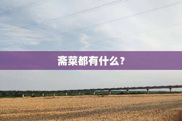 斋菜都有什么？
