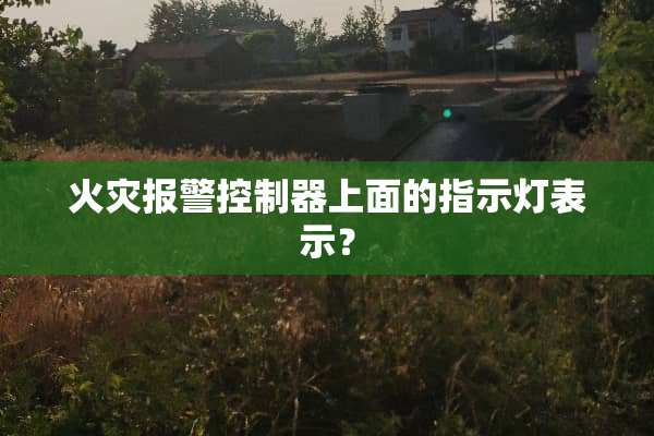 火灾报警***上面的指示灯表示？