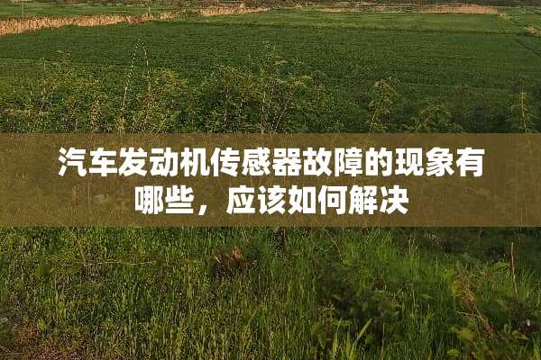 汽车发动机传感器故障的现象有哪些，应该如何解决