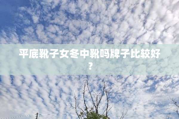 平底靴子女冬中靴吗牌子比较好？