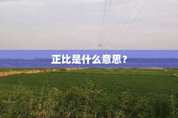 正比是什么意思？