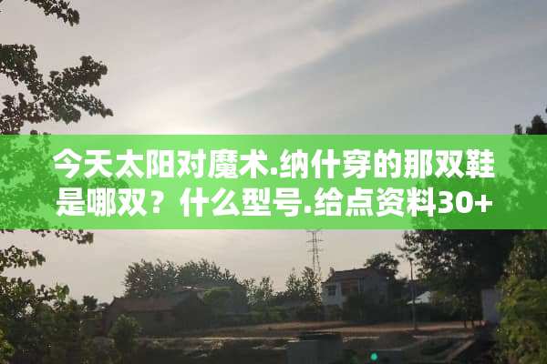 今天太阳对魔术.纳什穿的那双鞋是哪双？什么型号.给点资料30+10