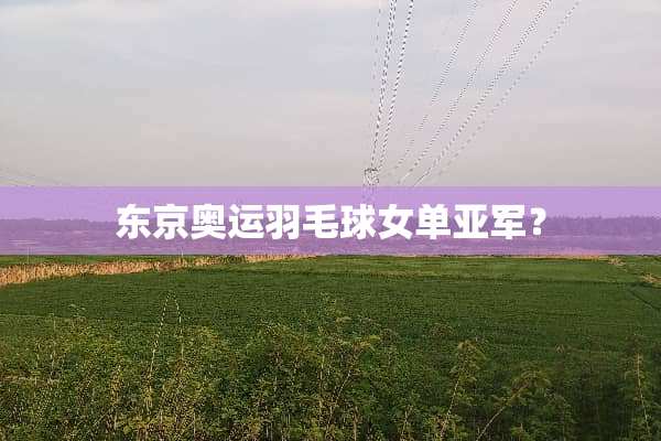 东京奥运羽毛球女单亚军？