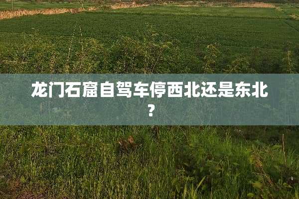 龙门石窟自驾车停西北还是东北？