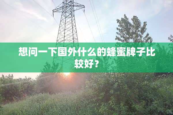 想问一下国外什么的蜂蜜牌子比较好？