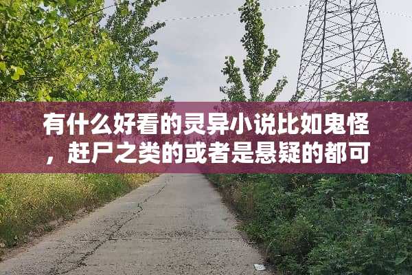 有什么好看的灵异小说比如鬼怪，赶尸之类的或者是悬疑的都可以了？