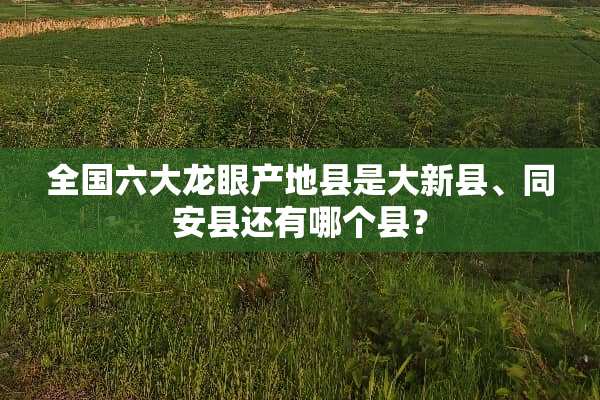 全国六大龙眼产地县是大新县、同安县还有哪个县？