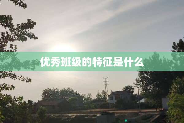 优秀班级的特征是什么