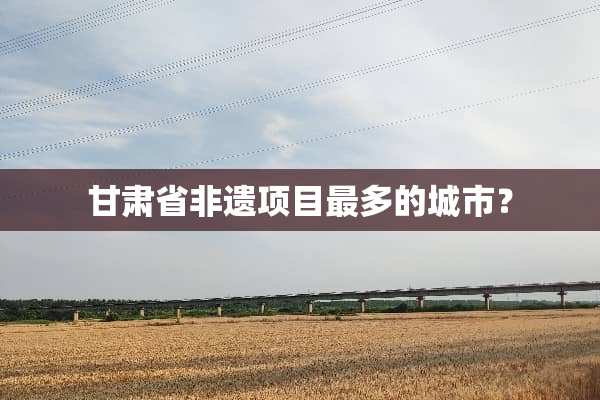 甘肃省非遗项目最多的城市？
