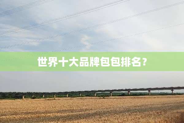 世界十大品牌包包排名？