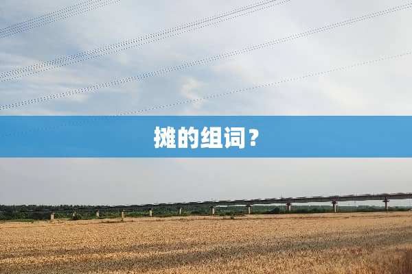 摊的组词？