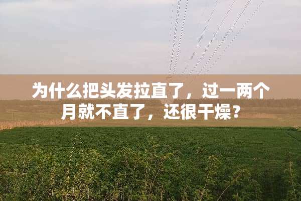 为什么把头发拉直了，过一两个月就不直了，还很干燥？