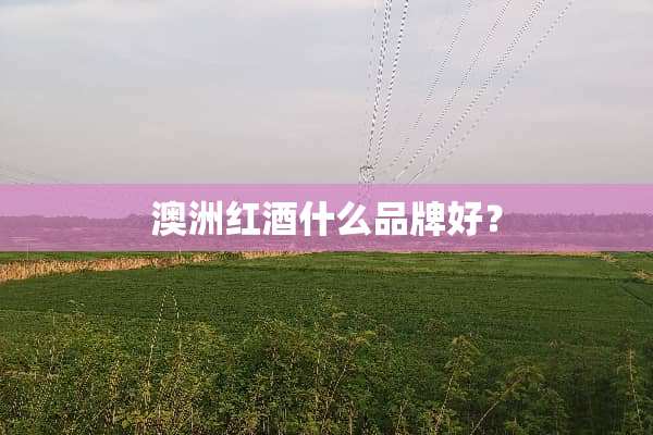 澳洲红酒什么品牌好？