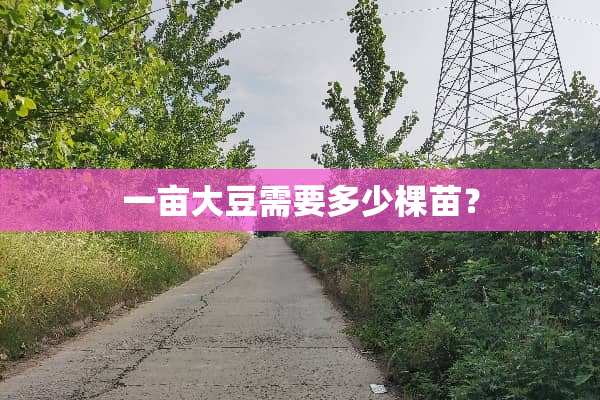 一亩大豆需要多少棵苗？